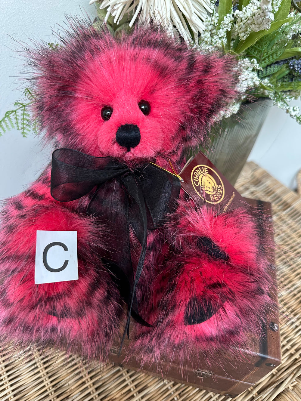 Cherry Pip 2025 Collection Paw Store Exclusive Collectable Teddy Bear