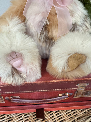 Davina Charlie Bears Plush Collection New Release Teddy Bear