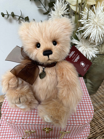 Dewey Charlie Bears Secrets Collection Plush Teddy Bear