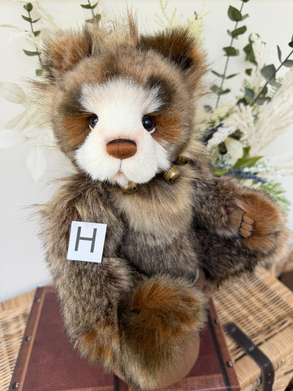 Anniversary Graeme Charlie Bears Collectable Plush Teddy Bear
