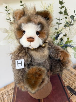 Anniversary Graeme Charlie Bears Collectable Plush Teddy Bear