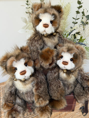 Anniversary Graeme Charlie Bears Collectable Plush Teddy Bear