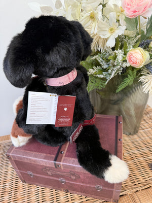 Didling Charlie Bears Plush Collection Collectable Puppy Dog