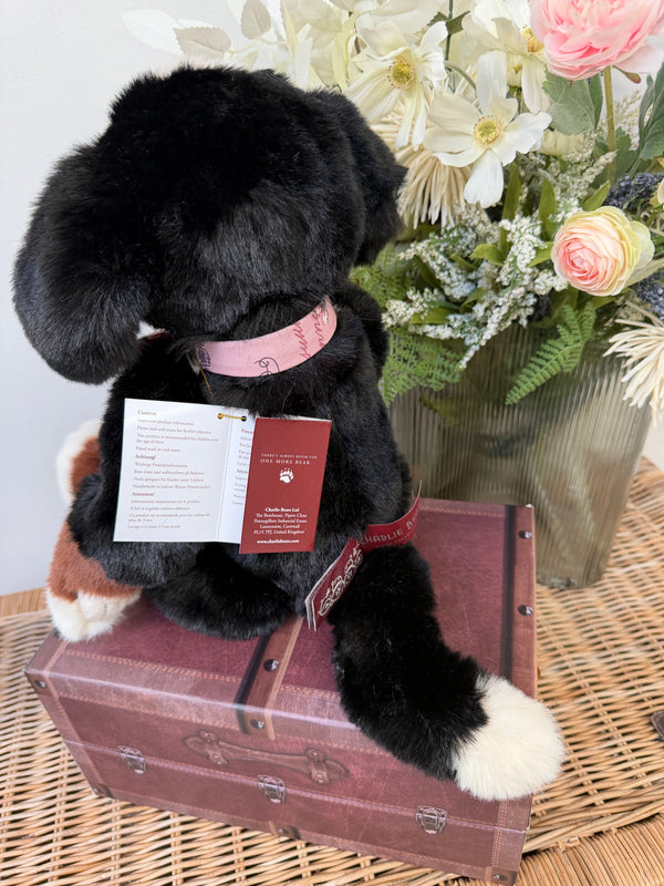 Didling Charlie Bears Plush Collection Collectable Puppy Dog