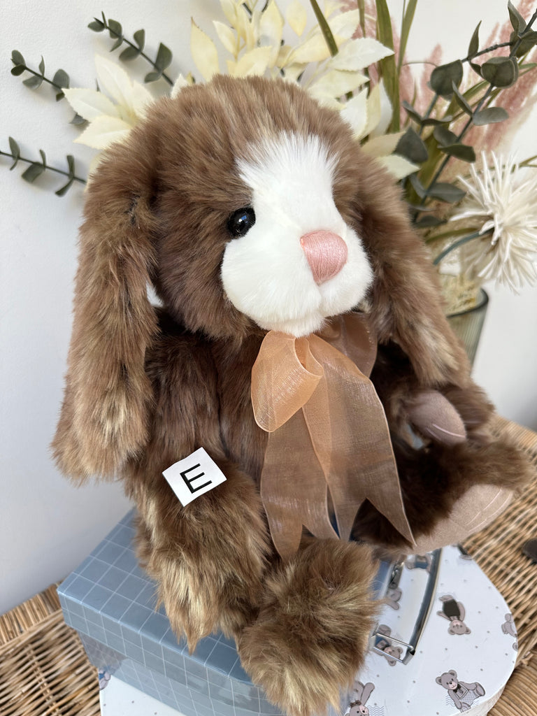 Cottontail teddy 2024