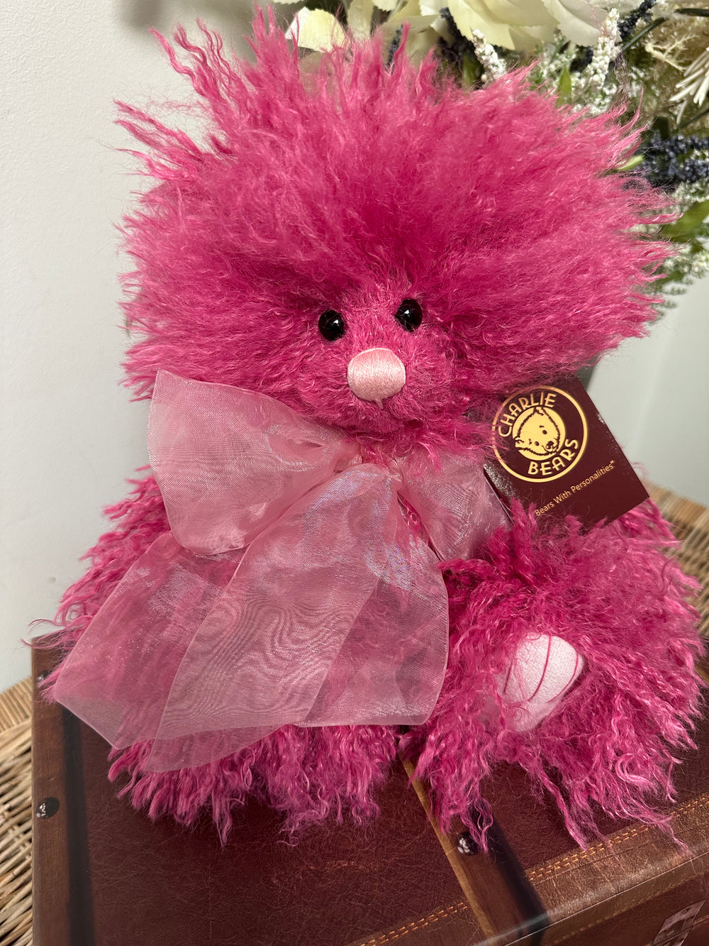 Fizz Bomb Charlie Bears Plush Collection Teddy Bear