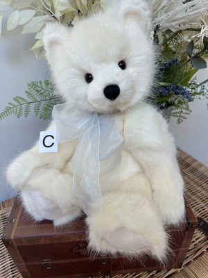 Little Bean Charlie Bears  Plush Collection Teddy Bear