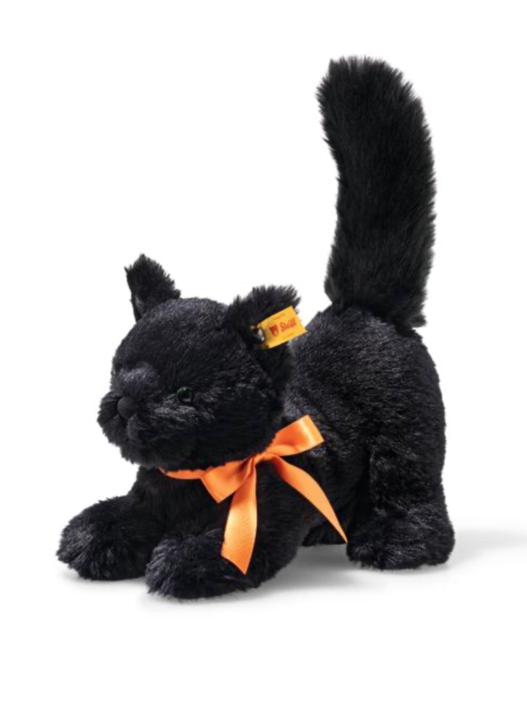 Spooky_Cat_2024.jpg?v=1728300911