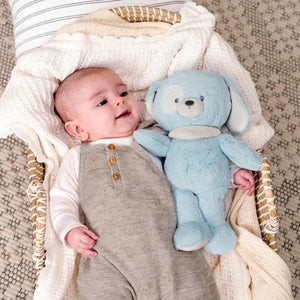 Gund Baby recycled Bay Plush 30cm Puppy Dog