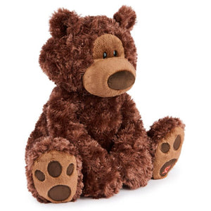 Philibin 30cm Forever Friends Chocolate Teddy Bear