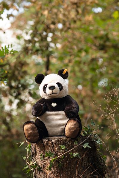 Pandi Big Steiff 40cm Black & White Plush Panda Bear