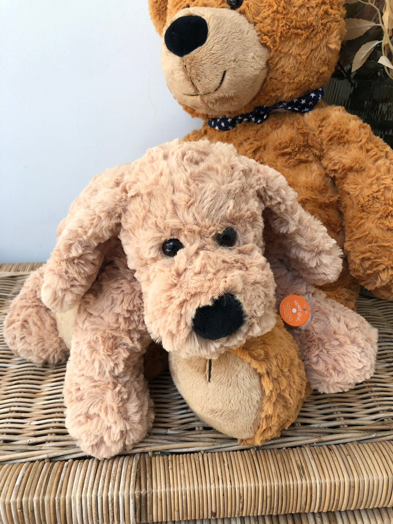 Teddy top hermann dogs