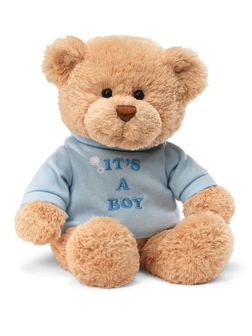 It's A Boy Baby Teddy Bear with Blue T Shirt