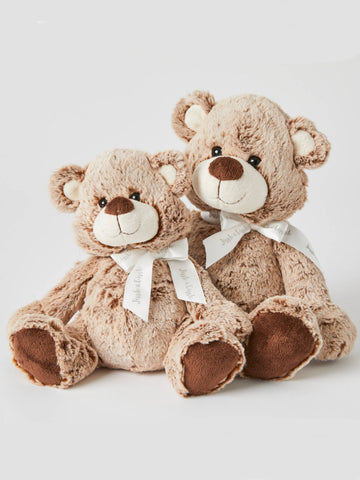 The Teddy Family Set of 2 Plush Teddy Bears