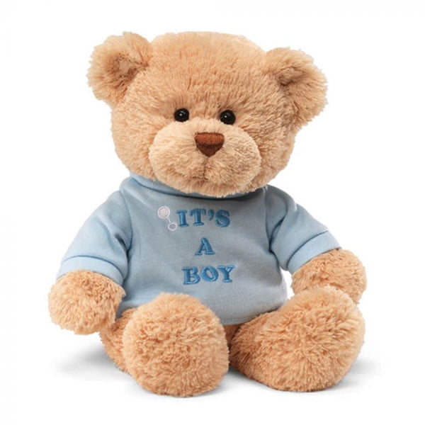 It's A Boy Baby Teddy Bear with Blue T Shirt