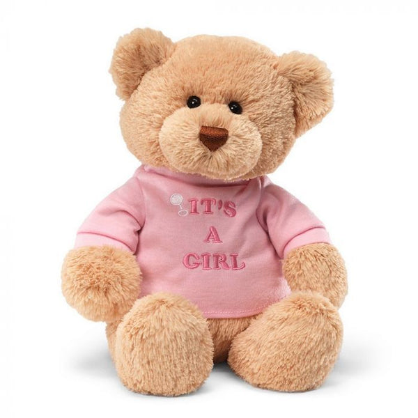 It's A Girl Teddy Bear with Pink T Shirt