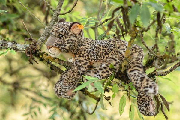 Parddy 36cm Spotted Leopard Steiff Plush Toy