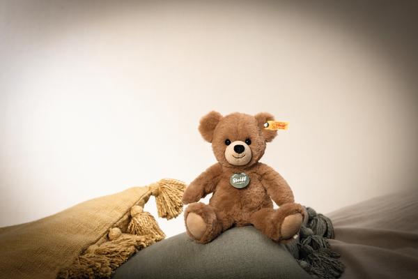Mollyli Teddy Bear Small 23cm Plush Steiff Teddies for Tomorrow Children's Teddy Bear